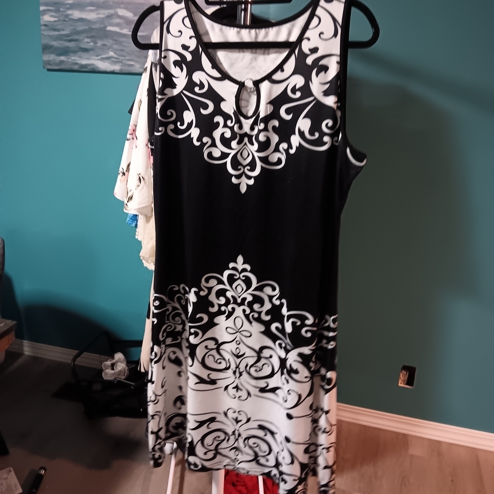 Elegant Black and White Sleeveless Dress